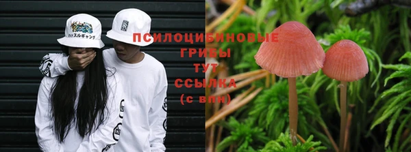 каннабис Беломорск