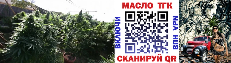 закладка  Елабуга  kraken ТОР  ТГК жижа 