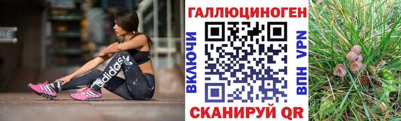 Псилоцибиновые грибы Psilocybe  Елабуга 